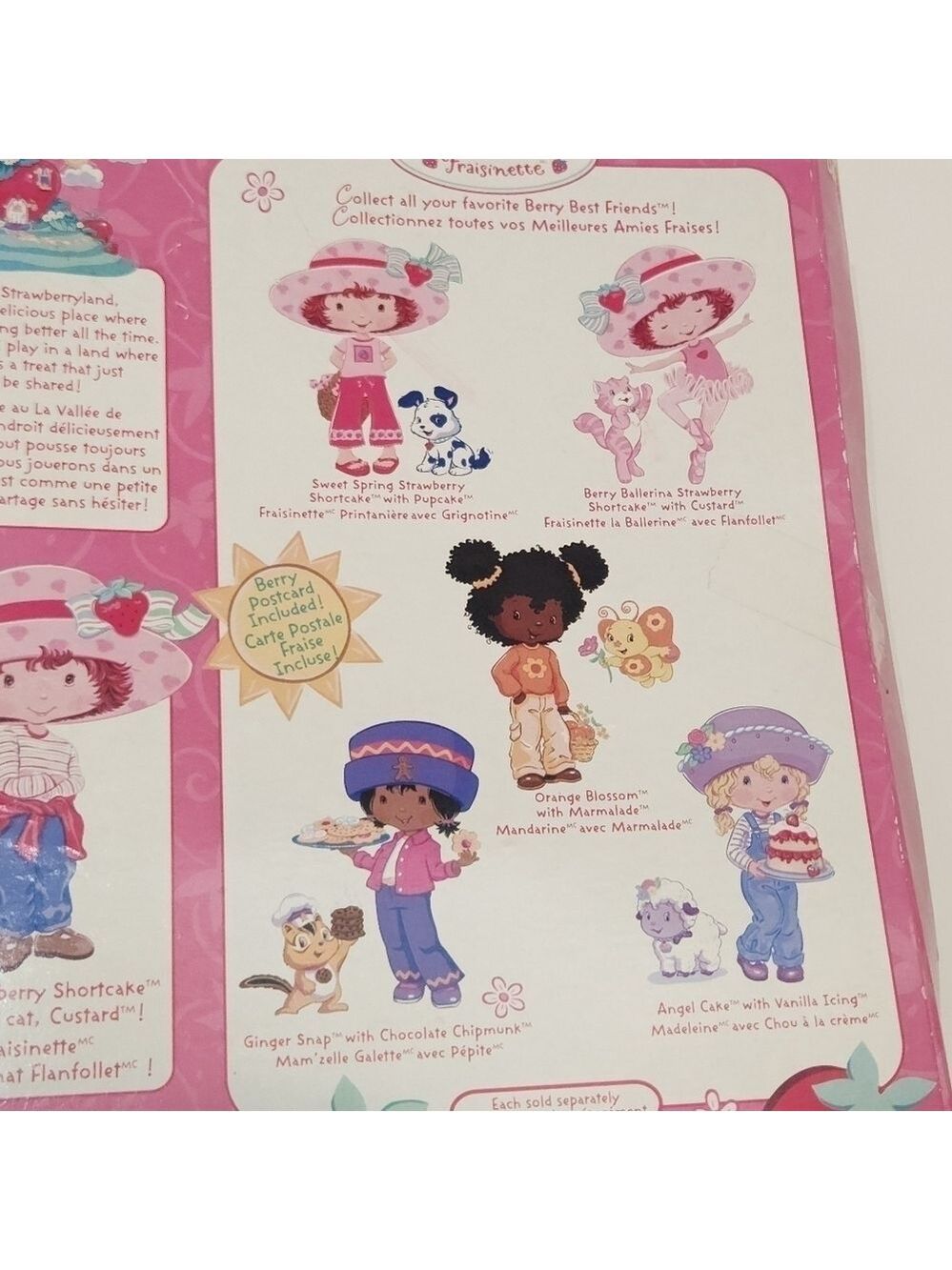 BANDAI Strawberry Shortcake 2002 Doll & Custard NIB Vintage - Picture 8 of 16